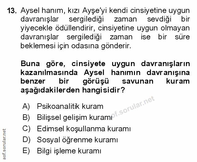 Soru 13