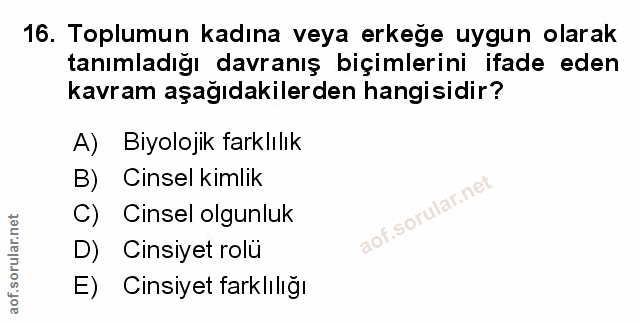 Soru 16