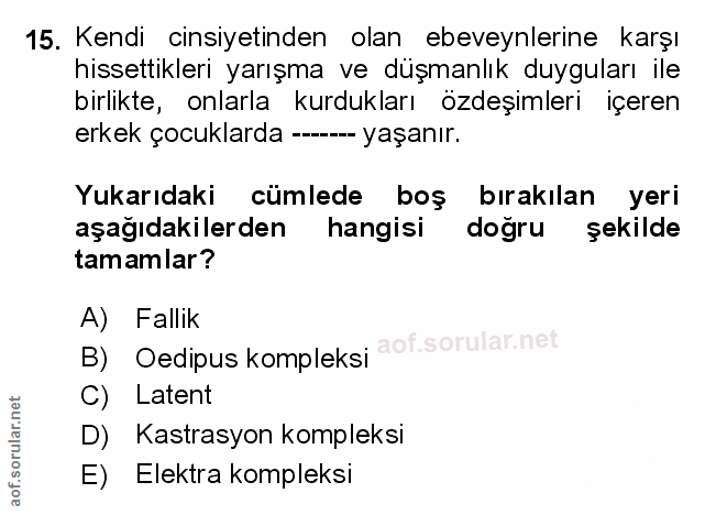 Soru 15
