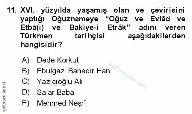 Soru 11