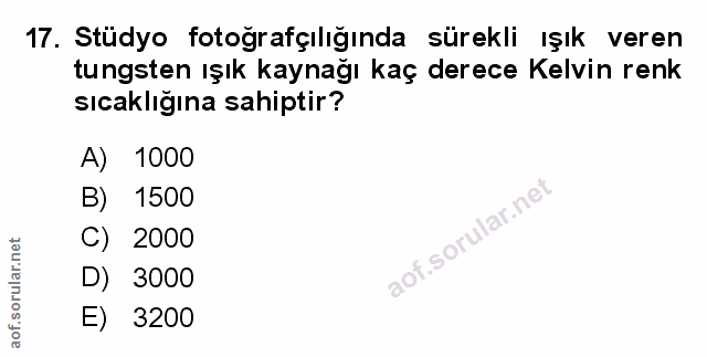 Soru 17