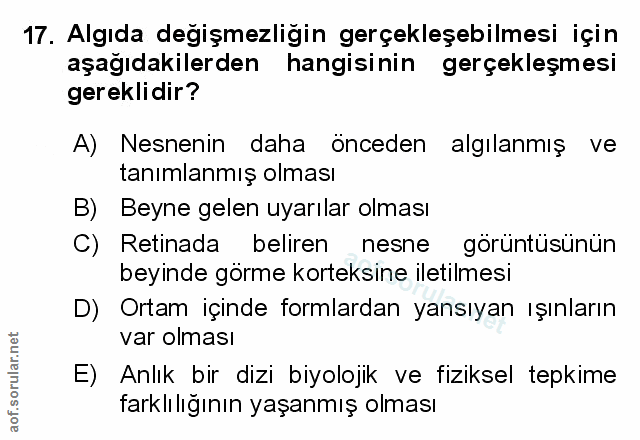 Soru 17