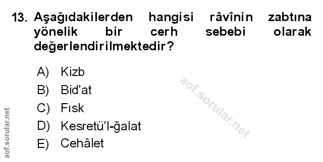 Soru 13