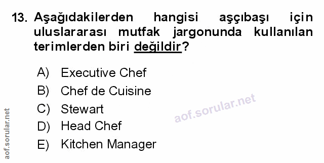 Soru 13