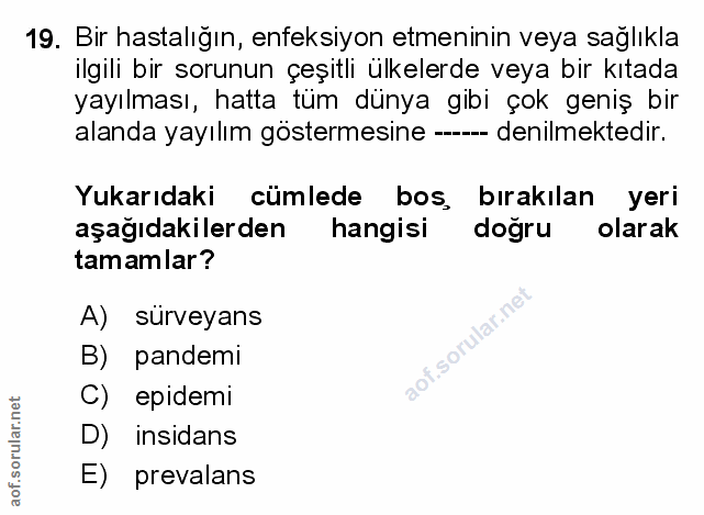 Soru 19