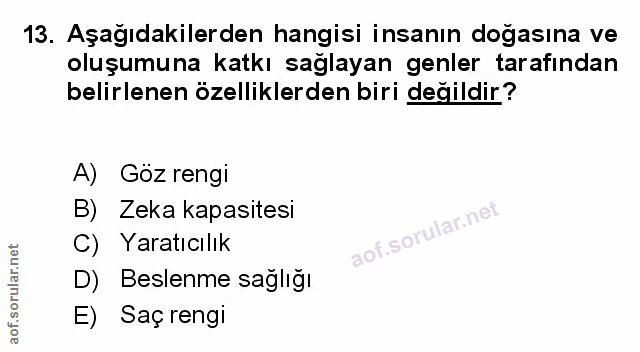 Soru 13