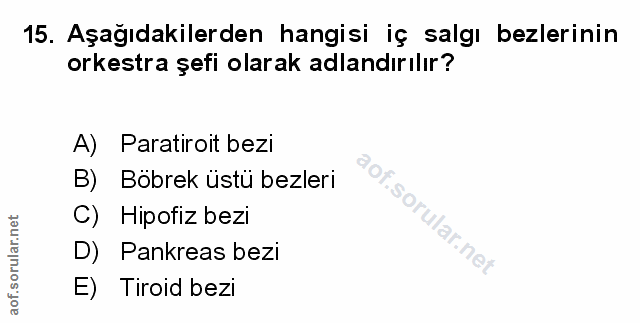 Soru 15