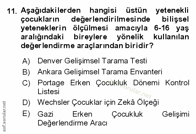 Soru 11