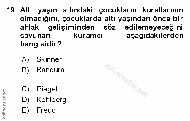 Soru 19