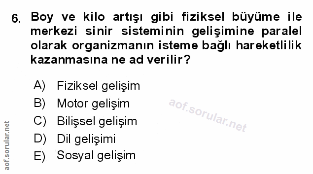 Soru 6