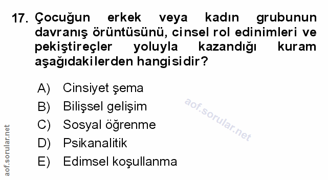 Soru 17