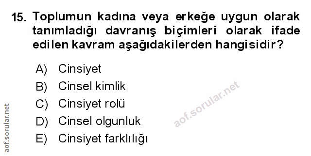 Soru 15