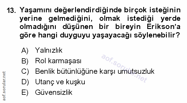 Soru 13