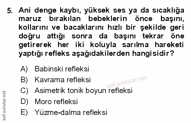 Soru 5