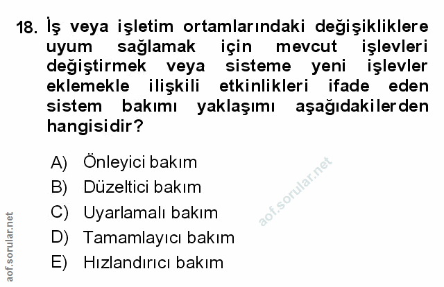 Soru 18