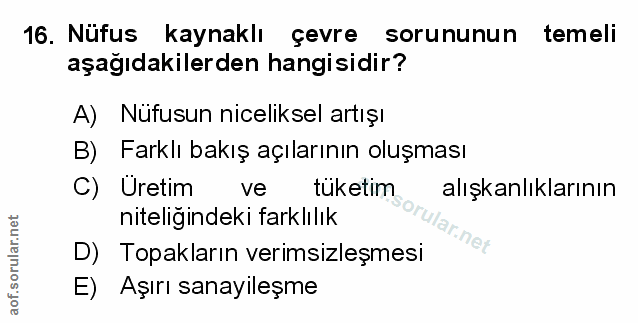 Soru 16