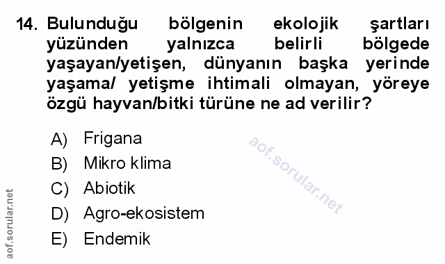 Soru 14