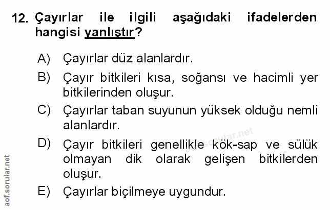 Soru 12