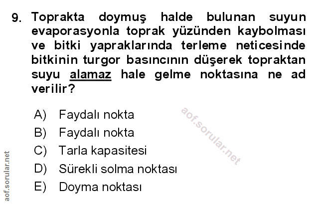 Soru 9