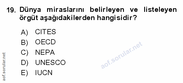 Soru 19