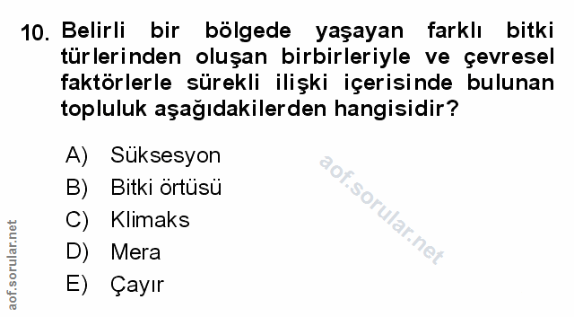 Soru 10