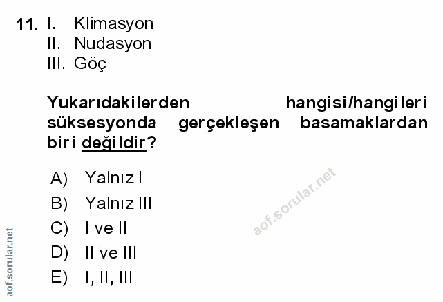 Soru 11