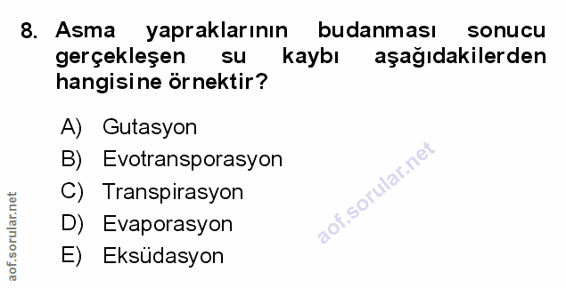 Soru 8