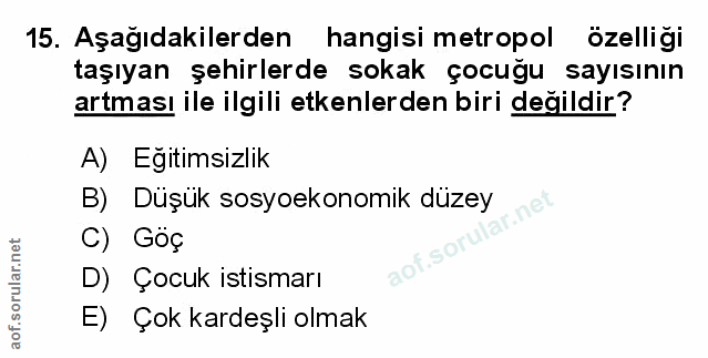 Soru 15