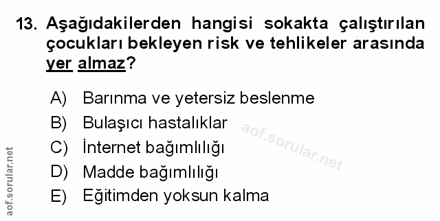 Soru 13