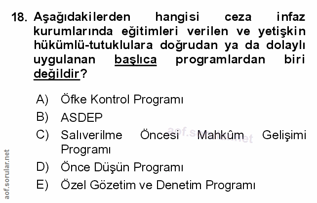 Soru 18