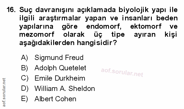 Soru 16