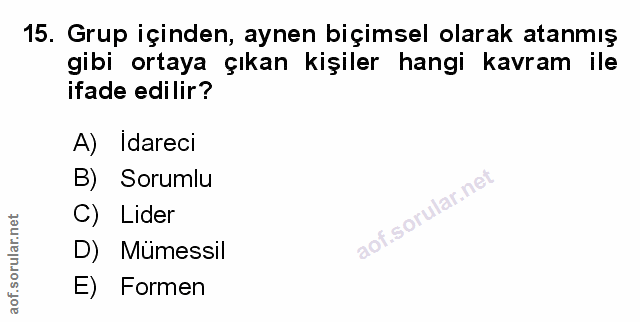 Soru 15