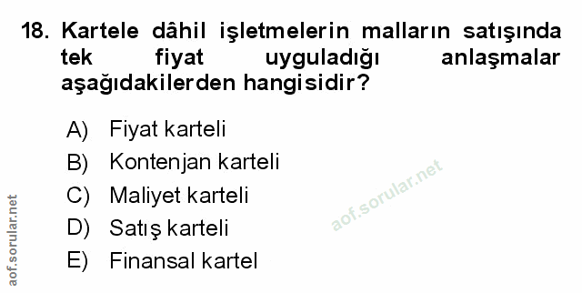 Soru 18
