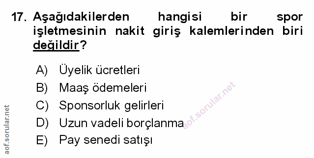 Soru 17