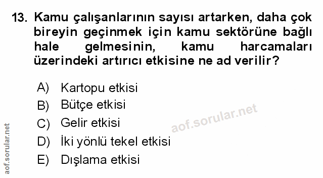 Soru 13