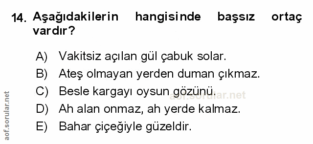 Soru 14