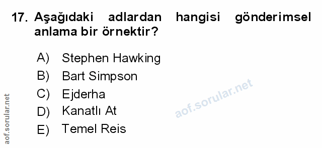 Soru 17