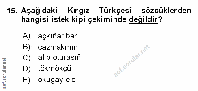 Soru 15
