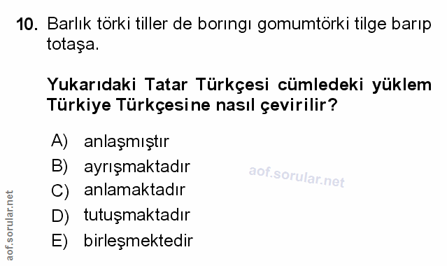 Soru 10