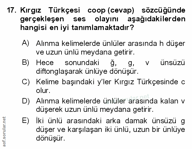 Soru 17