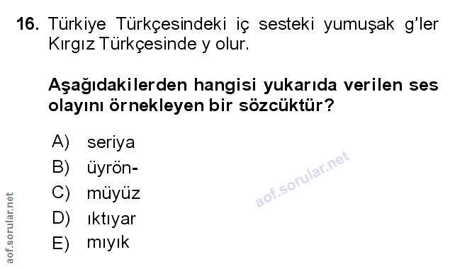 Soru 16