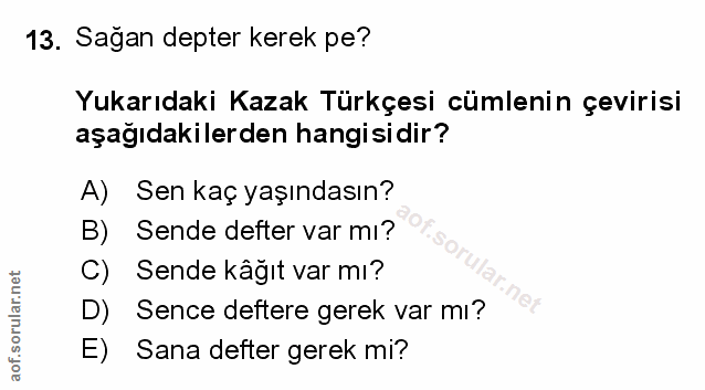 Soru 13