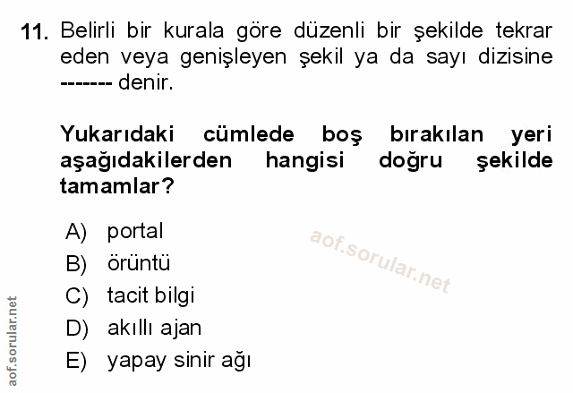 Soru 11