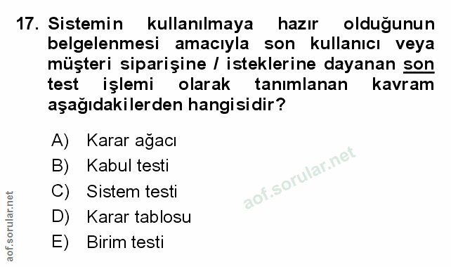 Soru 17