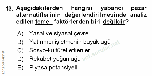 Soru 13