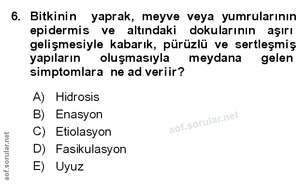 Soru 6