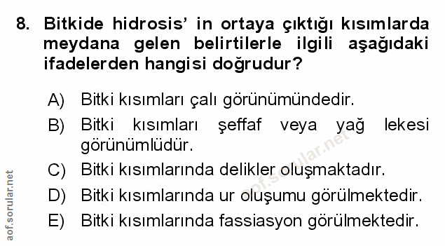 Soru 8