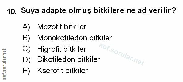 Soru 10