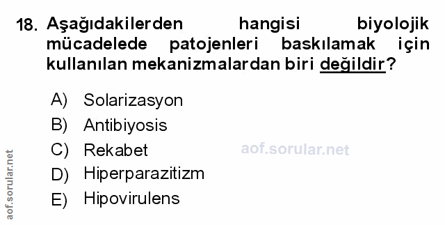 Soru 18