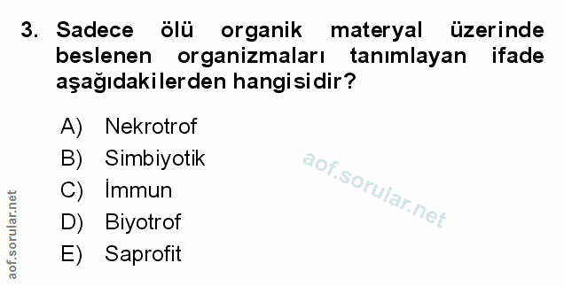 Soru 3